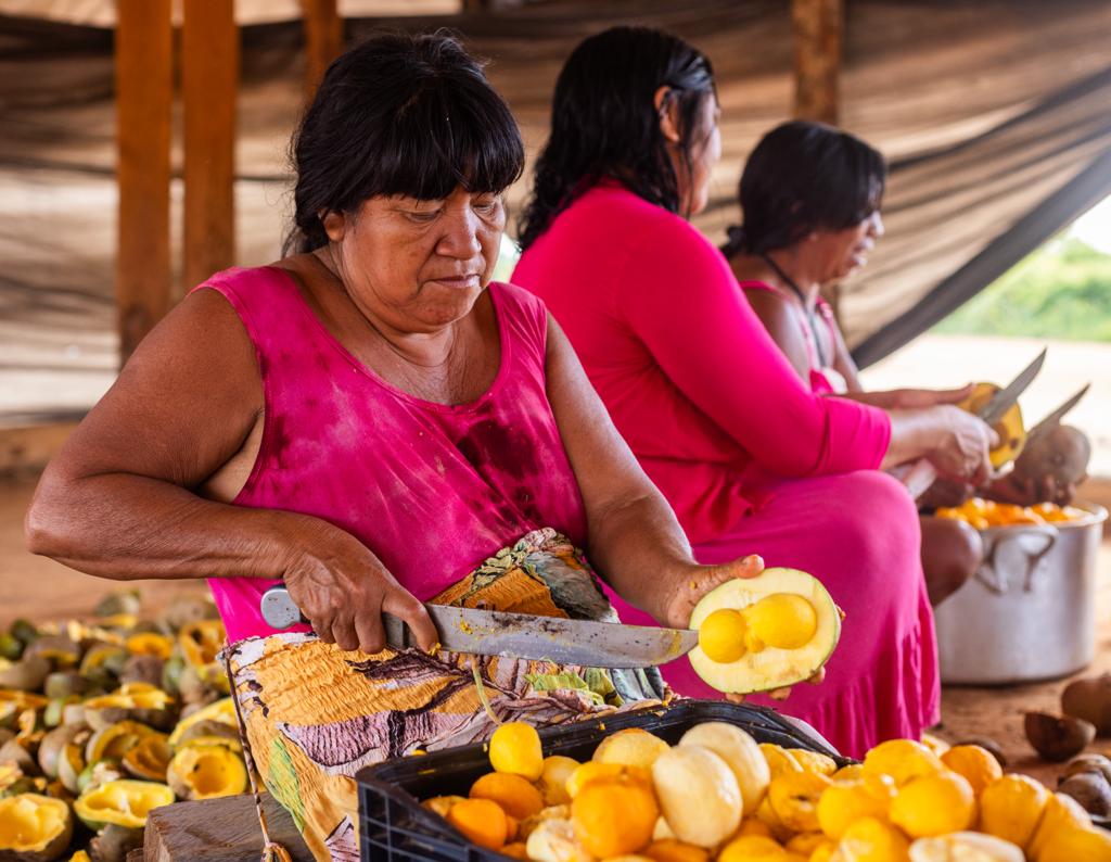 Mulheres Kisêdjê preparam o pequi para posterior processamento na miniusina (Foto: Kamikia Kisêdjê/AIK Produções)