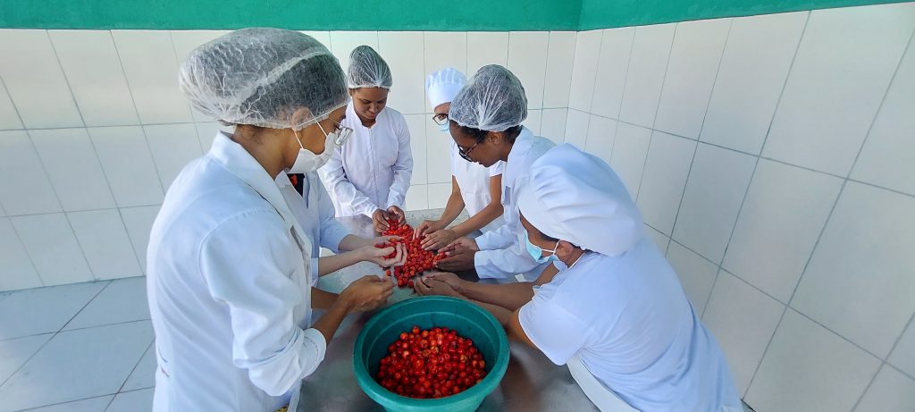 Unidade de beneficiamento transforma frutas, como a acerola em polpa para suco (Foto: Acervo ASBB/Reprodução)